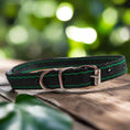 Charger l'image dans la visionneuse de la galerie, Obroża dla psa Zero Waste (7/18) - widok z bliska. Biothane, klasyczna, wytrzymała.