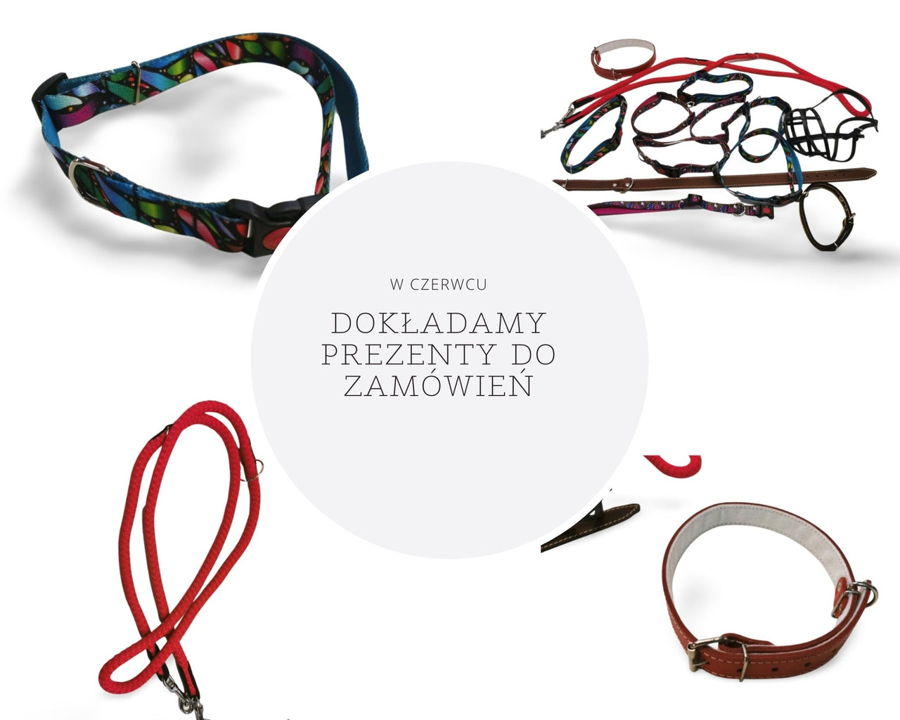 promocja legowisk w funitopets