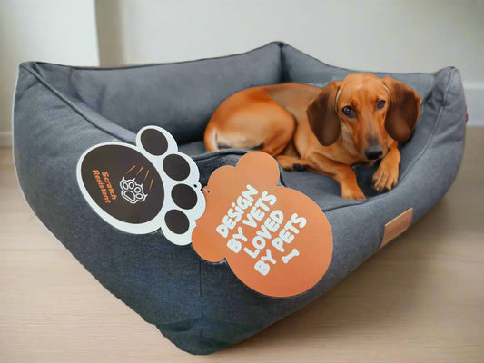 Legowisko Fafik - Kanapa dla dużego psa (1/8 - widok z przodu)