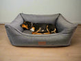 Charger l'image dans la visionneuse de la galerie, Legowisko Fafik - Kanapa dla dużego psa (zdjęcie 6/8: widok z boku)