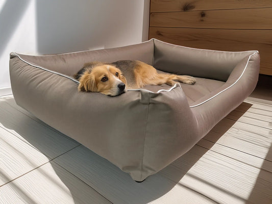 Legowisko ortopedyczne Flora (1/38) - widok z przodu. Kanapa dla psa, wysoka jakość.