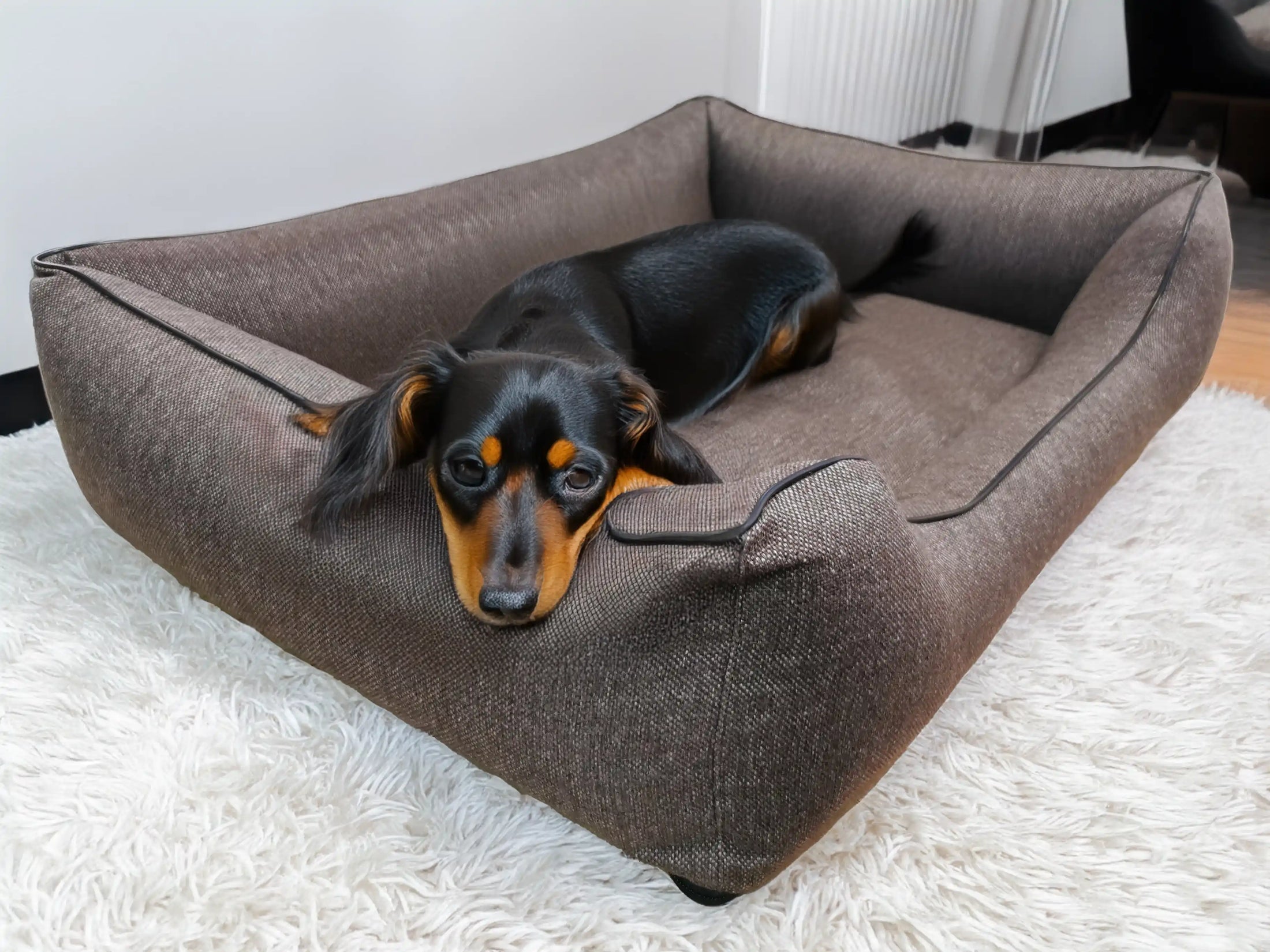 Legowisko dla psa Saba (16/20): Beżowa kanapa, detal. Komfort i zdrowie kręgosłupa.