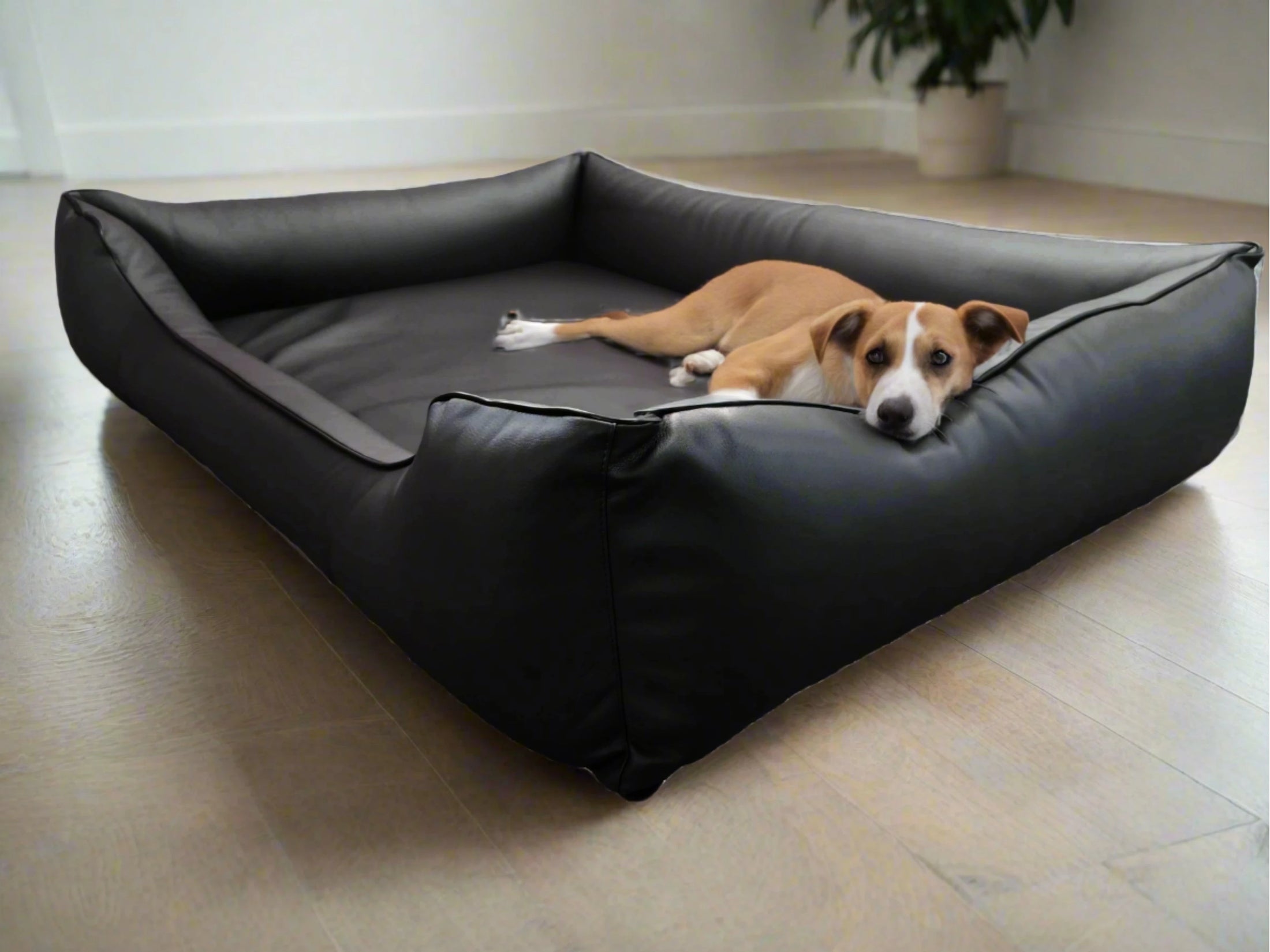 Legowisko ortopedyczne Teoś z ekoskóry (2/33) - widok z boku. Kanapa dla dużego psa.
