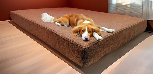 Legowisko ortopedyczne Afik 10cm (widok z boku). Idealne dla dużego psa.