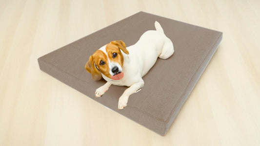 Legowisko ortopedyczne Afik Sawana 8cm (13/29 - detale). Wygodne posłanie dla psa.