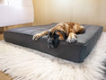 Załaduj zdjęcie, legowisko dla psa Mikola grafitowa z czarnym obszyciem z psem