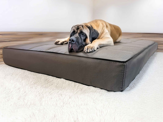 Legowisko Mikola 10cm, pianka PU, wodoodporne (1/29 - widok ogólny)