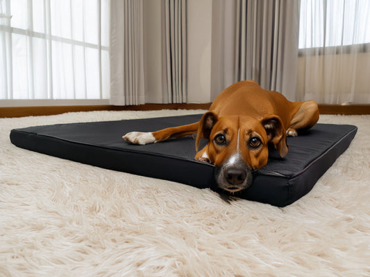 Materac Rosa Slim (2/31): Wodoodporny, ortopedyczny materac dla psa. Widok z bliska.