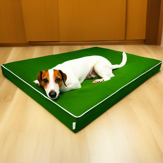 Legowisko ortopedyczne Rosa 8cm (23/25): Detale wodoodpornego materaca dla psa.