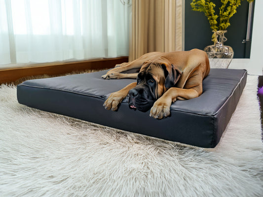 Legowisko ortopedyczne Rosa (1/51) - widok z przodu. Wodoodporne, dla wszystkich ras.