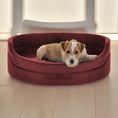 Charger l'image dans la visionneuse de la galerie, Lit Lora Funitopets : rond, en velours pour chiens