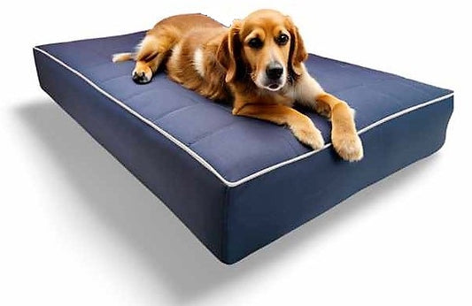 Legowisko Mikola 15cm, wodoodporny materac dla psa (2/29 - widok z boku)