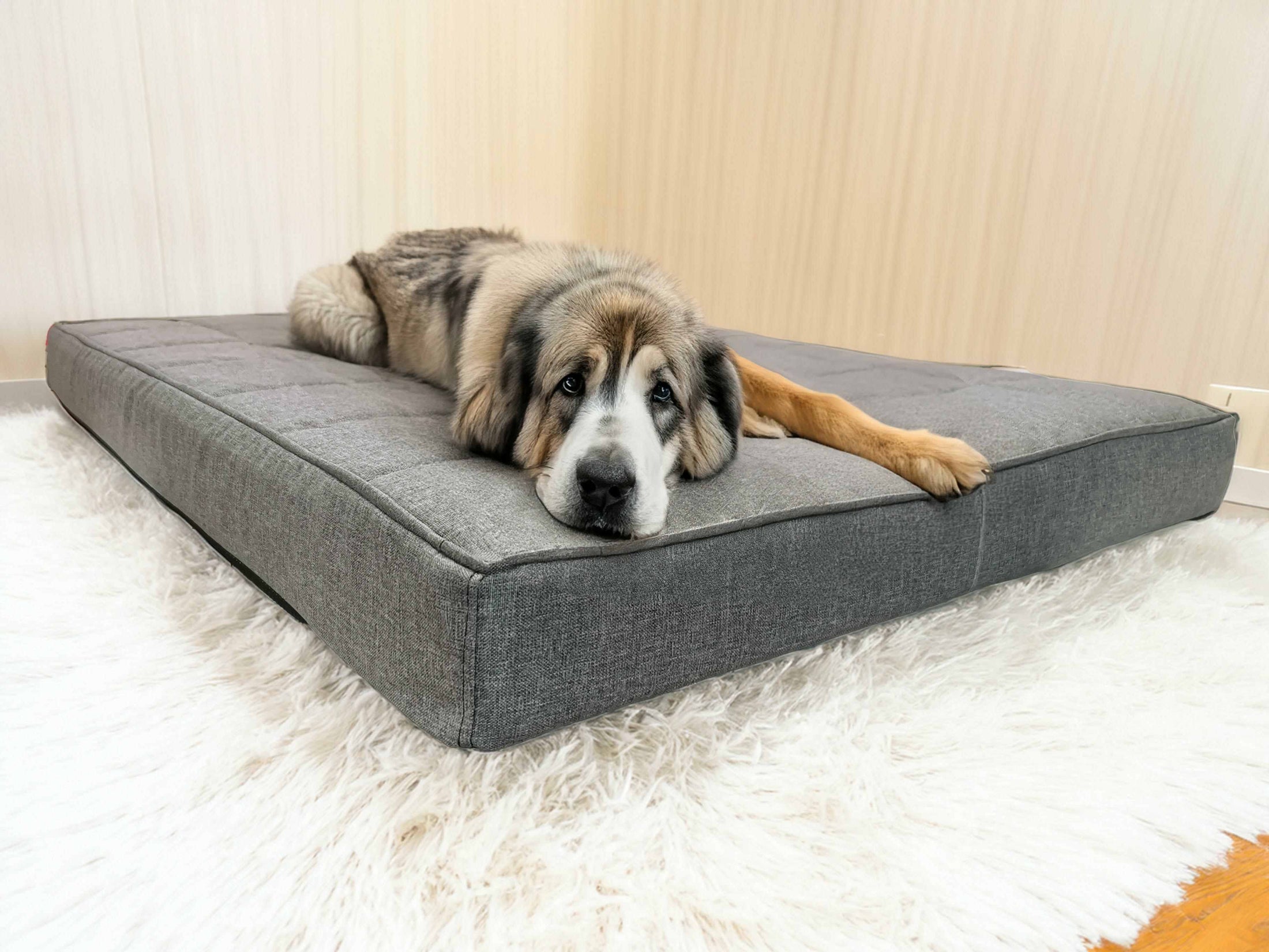 Ortopedyczny Materac Mika 10cm (1/17) - widok z przodu. Legowisko dla dużego psa.