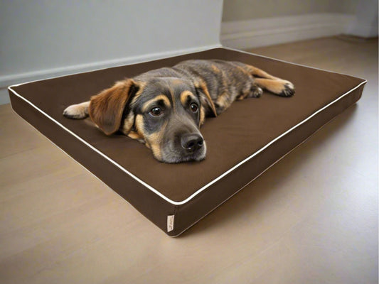 Materac dla psa Rosa 8 PU (7/22) - wodoodporny, ortopedyczny. Widok z boku.