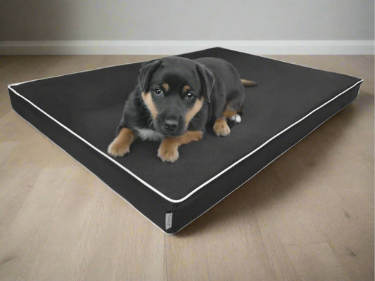 Materac dla psa Rosa 8 PU (8/22) - wodoodporny, ortopedyczny. Widok z boku.