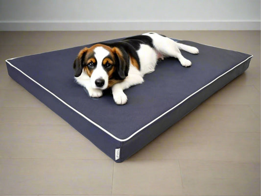 Materac Rosa 8 PU (3/22): Wodoodporny, ortopedyczny, dla psa.