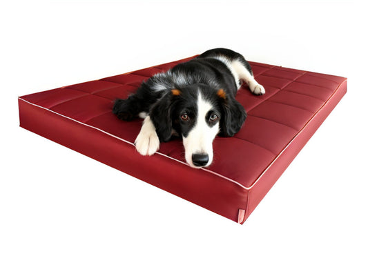 Legowisko Mikola 8cm, wodoodporny materac dla psa (2/20 - widok z boku)