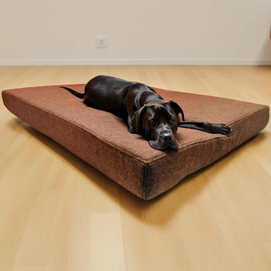 legowisko dla psa afik brązowe z psem na podłodze