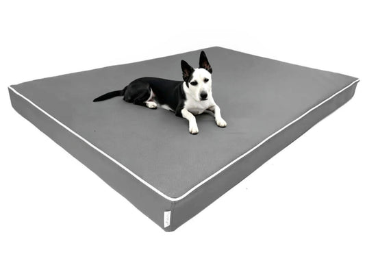 Materac dla psa Rosa 8 PU (9/22) - wodoodporny, ortopedyczny. Widok z boku.