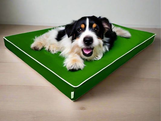 Materac dla psa Rosa 8 PU (1/22) - widok z przodu. Wodoodporny, ortopedyczny, różne rozmiary.