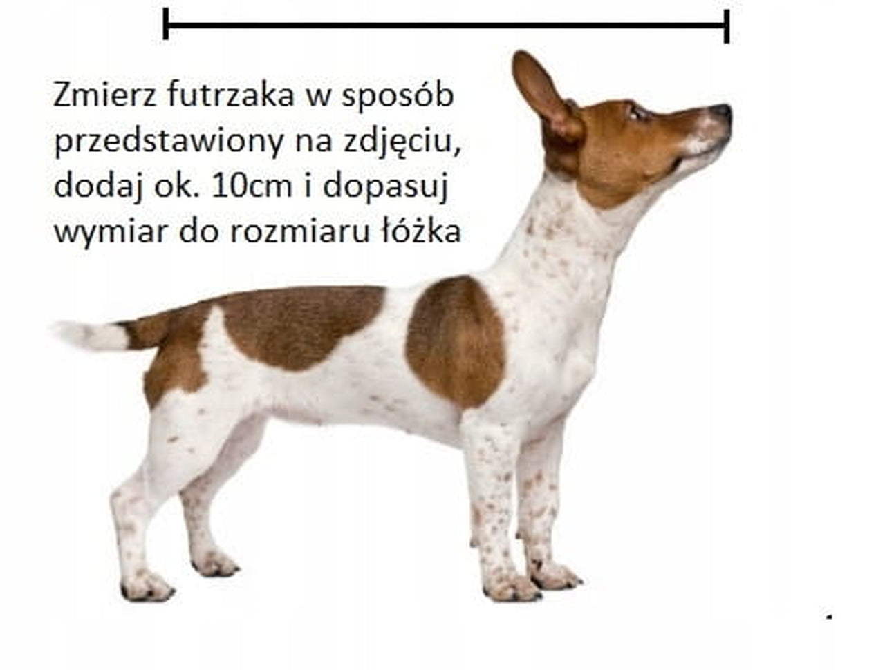 Legowisko Mika Slim 5 cm (19/27) - widok z boku. Wygodne posłanie dla dużego psa. Promocja!