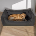 Charger l'image dans la visionneuse de la galerie, Legowisko dla psa Vega (1/3) - widok z przodu. Przytulna kanapa dla małych i dużych psów.