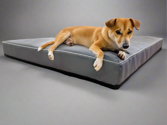 Legowisko ortopedyczne Rosa (22/51) - wodoodporne, dla psa. Widok z bliska.