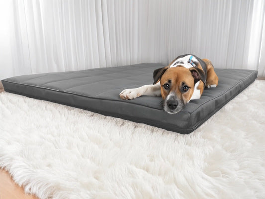 Mikola Materac dla Psa - wodoodporny i wytrzymały. Widok z przodu (1/34).