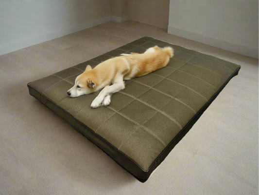 Ortopedyczny materac Mikola (10cm, pianka visco) dla psa. Widok 19/35. Wodoodporny.