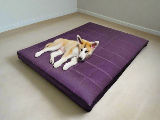 Ortopedyczny materac Mikola (10cm, visco) - widok z boku (16/35). Wodoodporny, dla dużego psa.