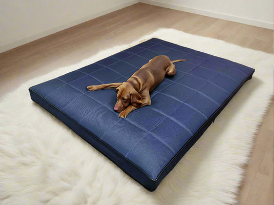 Ortopedyczne legowisko Mikola (1/35) - widok z przodu. Wodoodporny materac dla psa, 10 cm pianka Vis