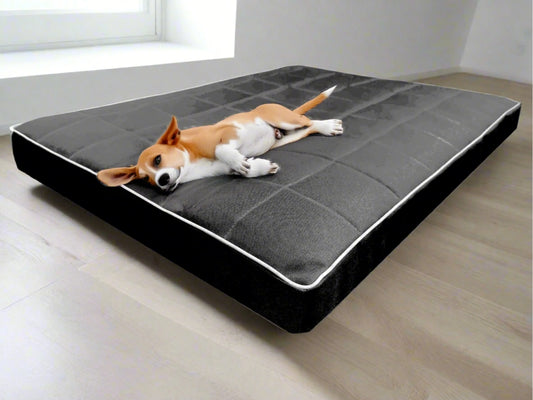 Legowisko Mikola 8cm, ortopedyczne, wodoodporne. Widok z przodu (1/18).