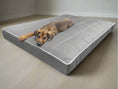 Załaduj zdjęcie, Legowisko Mikola 8cm, ortopedyczne, wodoodporne. Zdjęcie 3/18: Detale materaca.