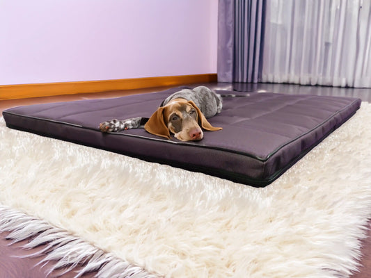 Mikola Materac dla Psa, wodoodporny i wytrzymały. (Zdjęcie 16/34: Detale)