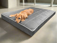 Załaduj zdjęcie, Legowisko Mikola 8cm, wodoodporny materac ortopedyczny dla psa (zdjęcie 2/18 - detale)