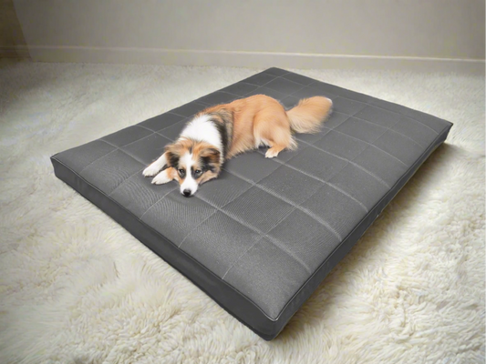 Ortopedyczne legowisko Mikola (10/35) - wodoodporny materac dla psa, 10cm pianka Visco.