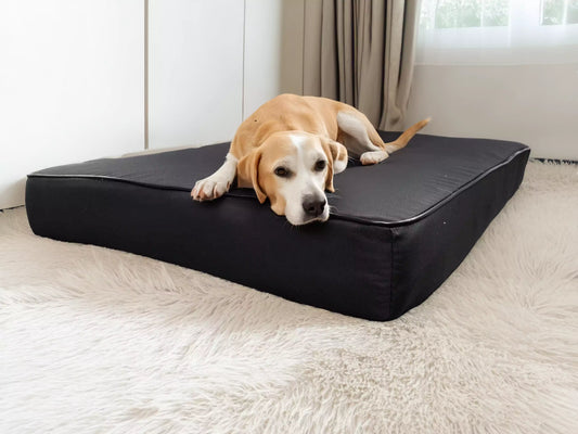 Legowisko Rosa wodoodporne 10cm (2/21) - widok z boku. Materac dla psa, różne rozmiary.