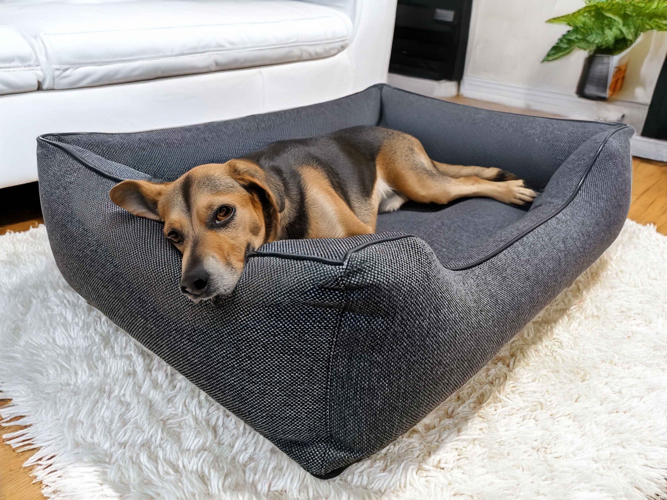 Legowisko dla psa Saba (1/20) - beżowa kanapa, widok z przodu. Komfort i zdrowie kręgosłupa.