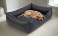 Załaduj zdjęcie, Legowisko ortopedyczne Teoś z ekoskóry (29/33) – widok z boku. Kanapa dla dużego psa.