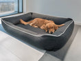 Załaduj zdjęcie, Kanapa dla psa Filipek (1/12) - widok z przodu. Bestsellerowe, ortopedyczne legowisko dla dużego psa