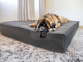 Załaduj zdjęcie, Legowisko dla psa Mika 15 cm