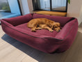 Załaduj zdjęcie, Kanapa dla psa Filipek (5/12): Widok z boku. Bestsellerowe legowisko ortopedyczne dla dużego psa.