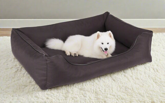 Legowisko ortopedyczne Flora (9/38) - wygodna kanapa dla psa.