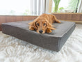Załaduj zdjęcie, legowisko dla psa mika jasno szara
