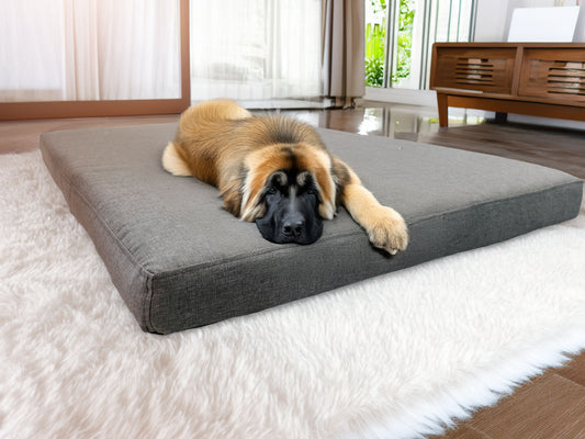 Legowisko ortopedyczne Afik 10cm (1/5) - widok z przodu.