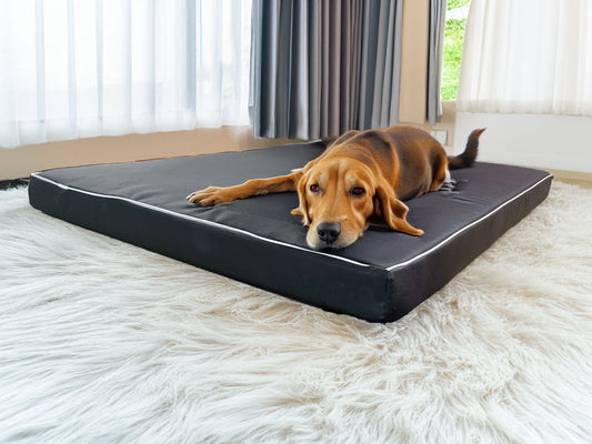 Legowisko ortopedyczne Rosa 8cm (1/25) - widok z przodu. Idealne dla psa, wodoodporne.