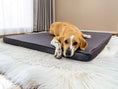 Charger l'image dans la visionneuse de la galerie, Materac Rosa Slim (5/31): Wodoodporny, ortopedyczny materac dla psa. Widok z boku.