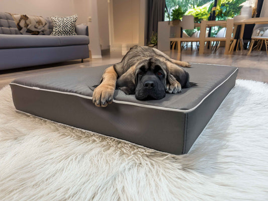 Legowisko ortopedyczne Rosa 15cm, wodoodporne. Widok z przodu (1/25).