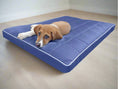 Charger l'image dans la visionneuse de la galerie, Mikola Materac dla Psa, wodoodporny i wytrzymały. (28/34 - Detale)