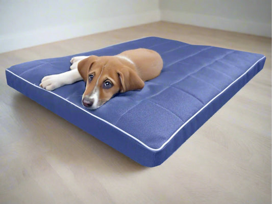 Mikola Materac dla Psa, wodoodporny i wytrzymały. (28/34 - Detale)